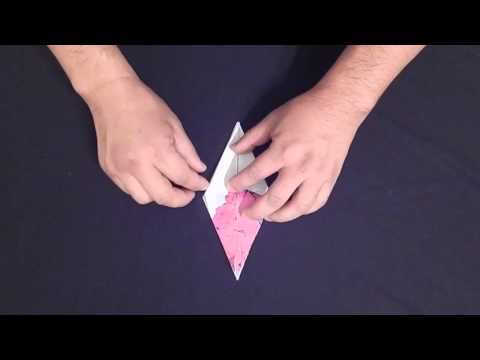 Folding an Origami Crane