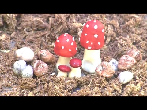 Fondant Toadstools and Marbleized Stone Tutorial