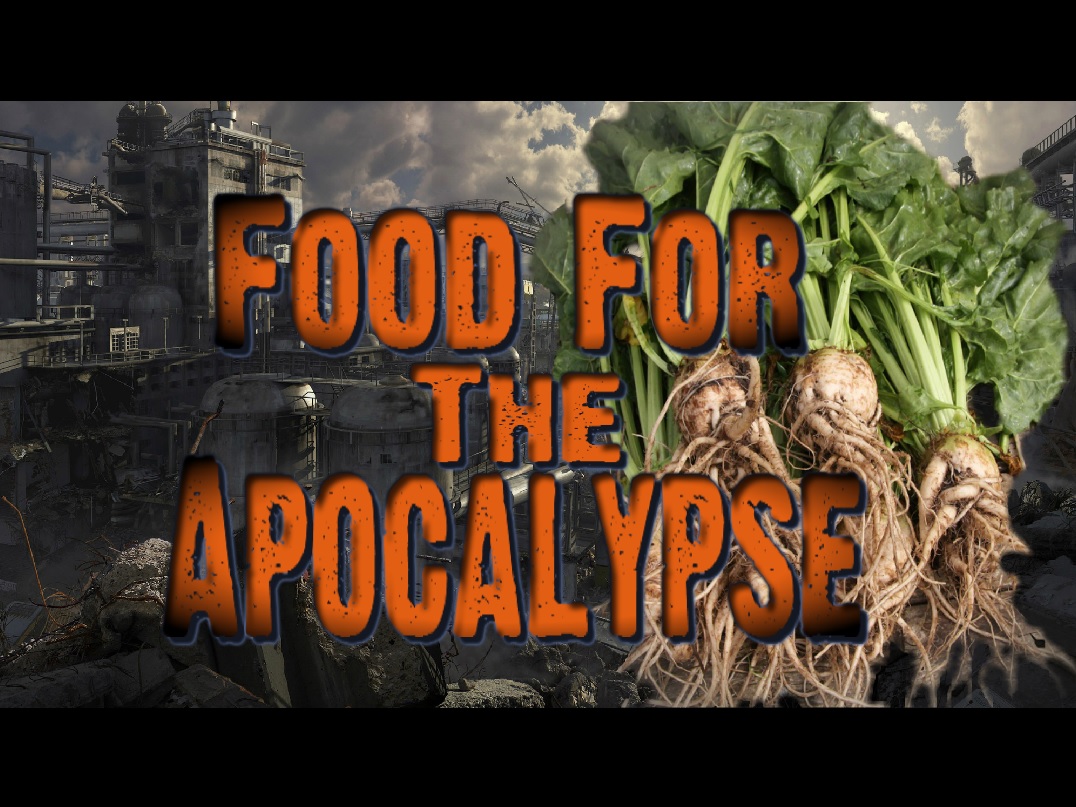 Food for the Apocalypse 08.jpg