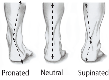 FootPronation01.png