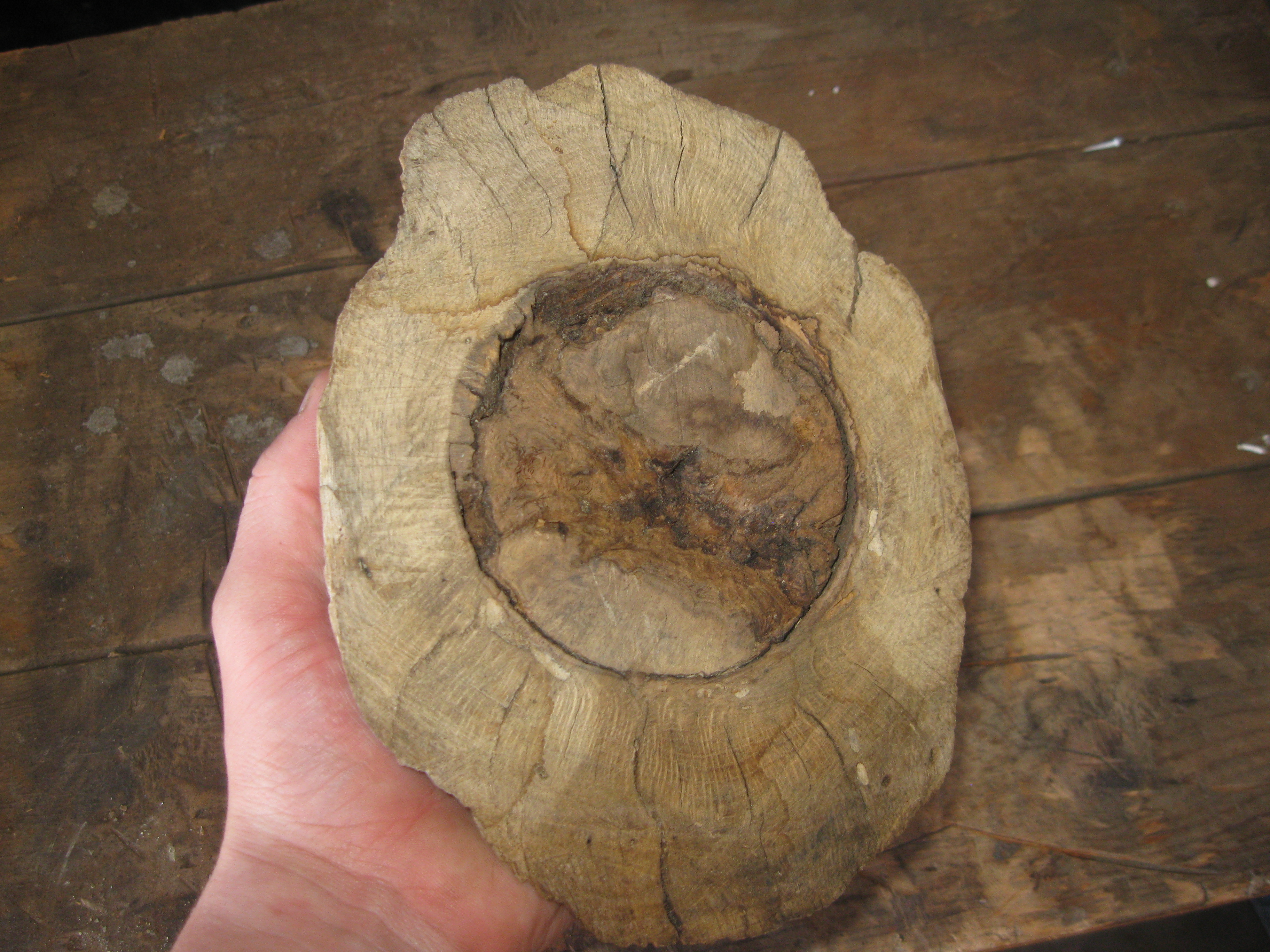 For Make somthing epic burl bowl 047.JPG