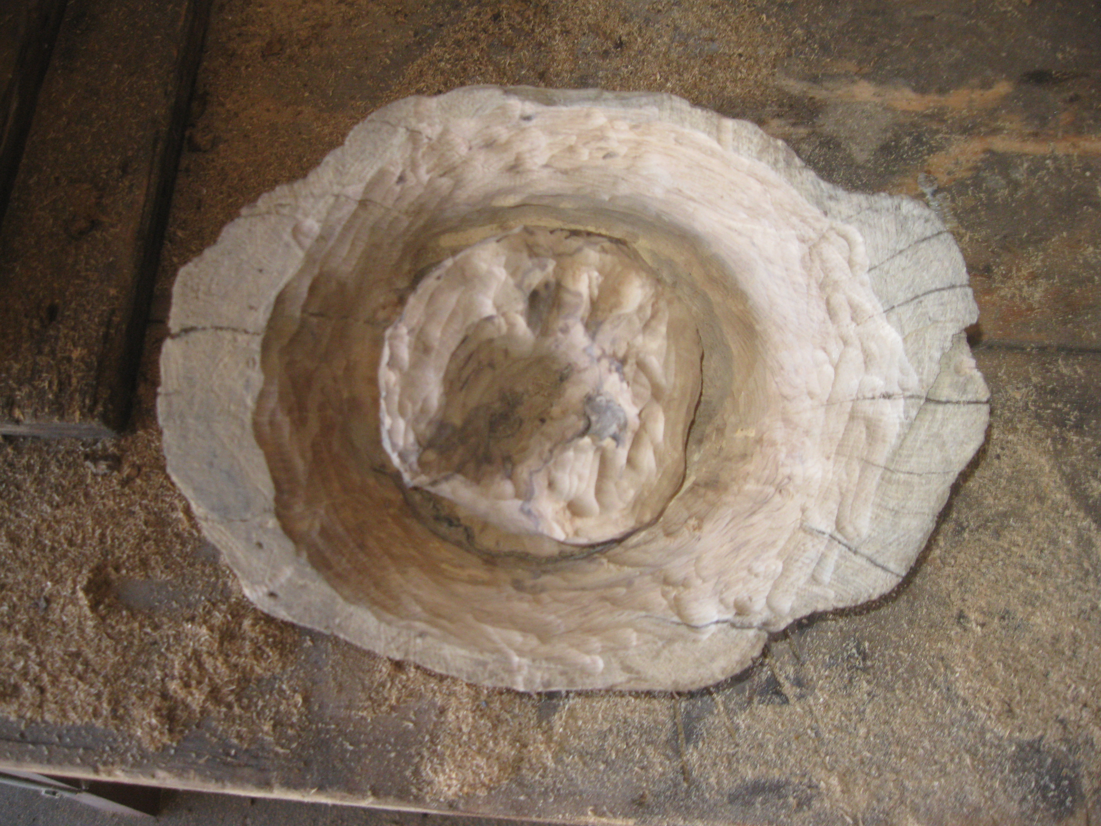 For Make somthing epic burl bowl 059.JPG