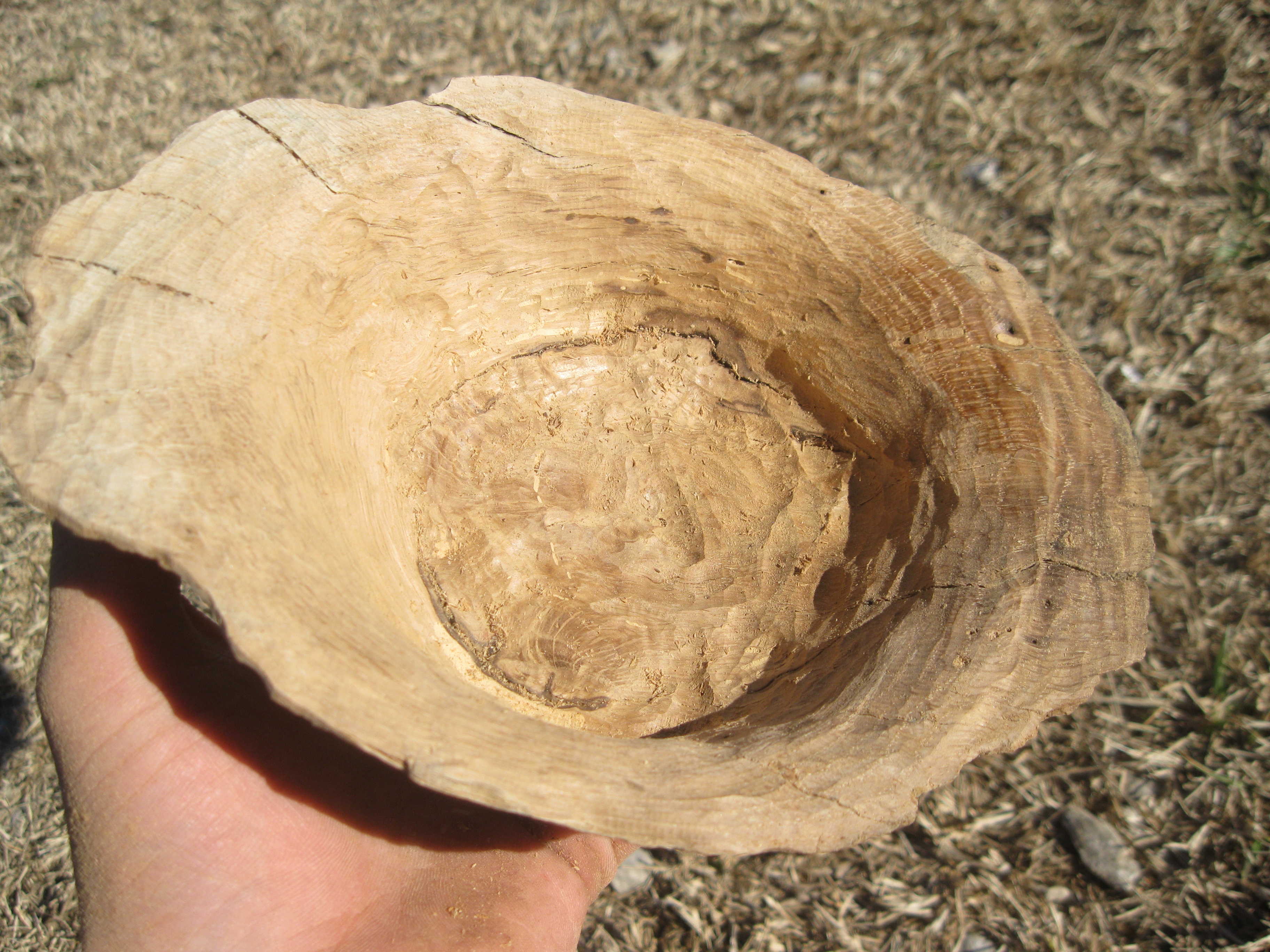 For Make somthing epic burl bowl 064.JPG