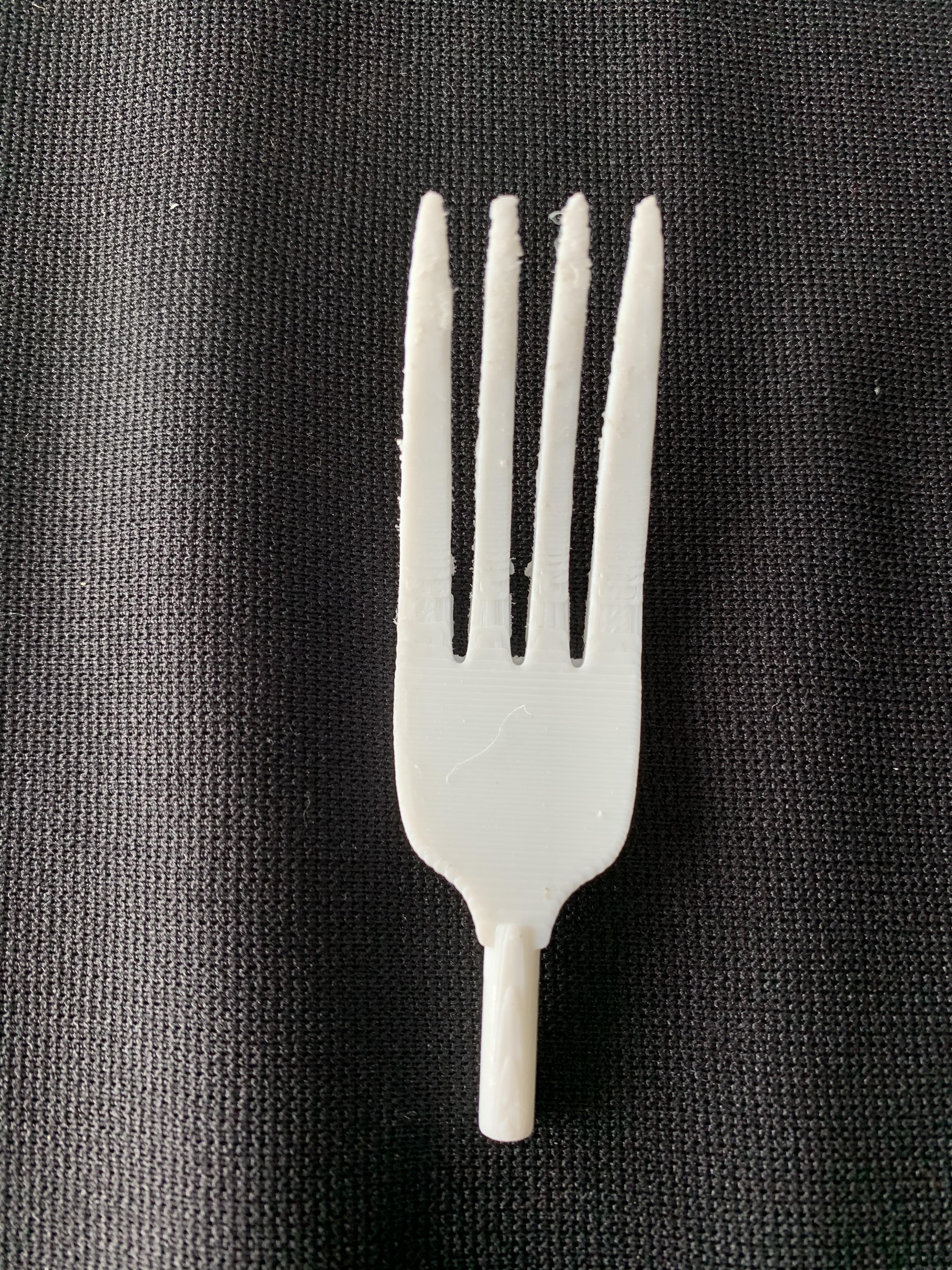 Fork.JPG