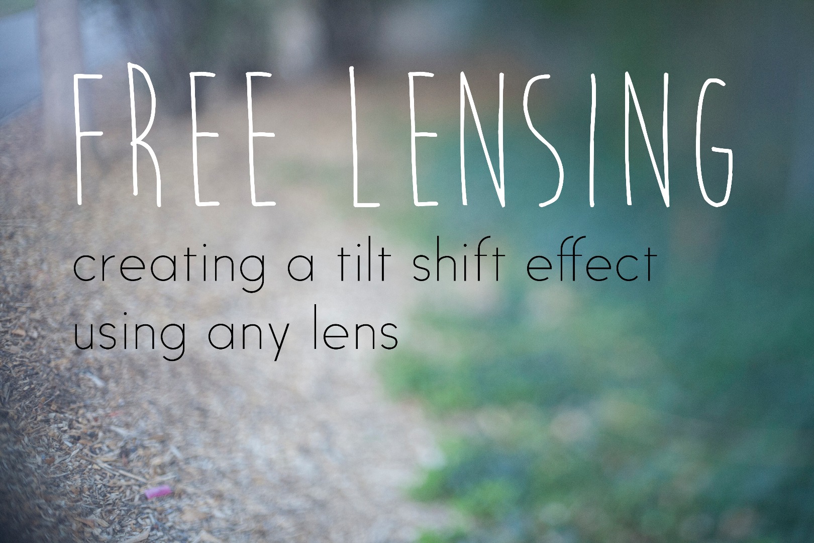 Free Lensing - Header Photo.jpg