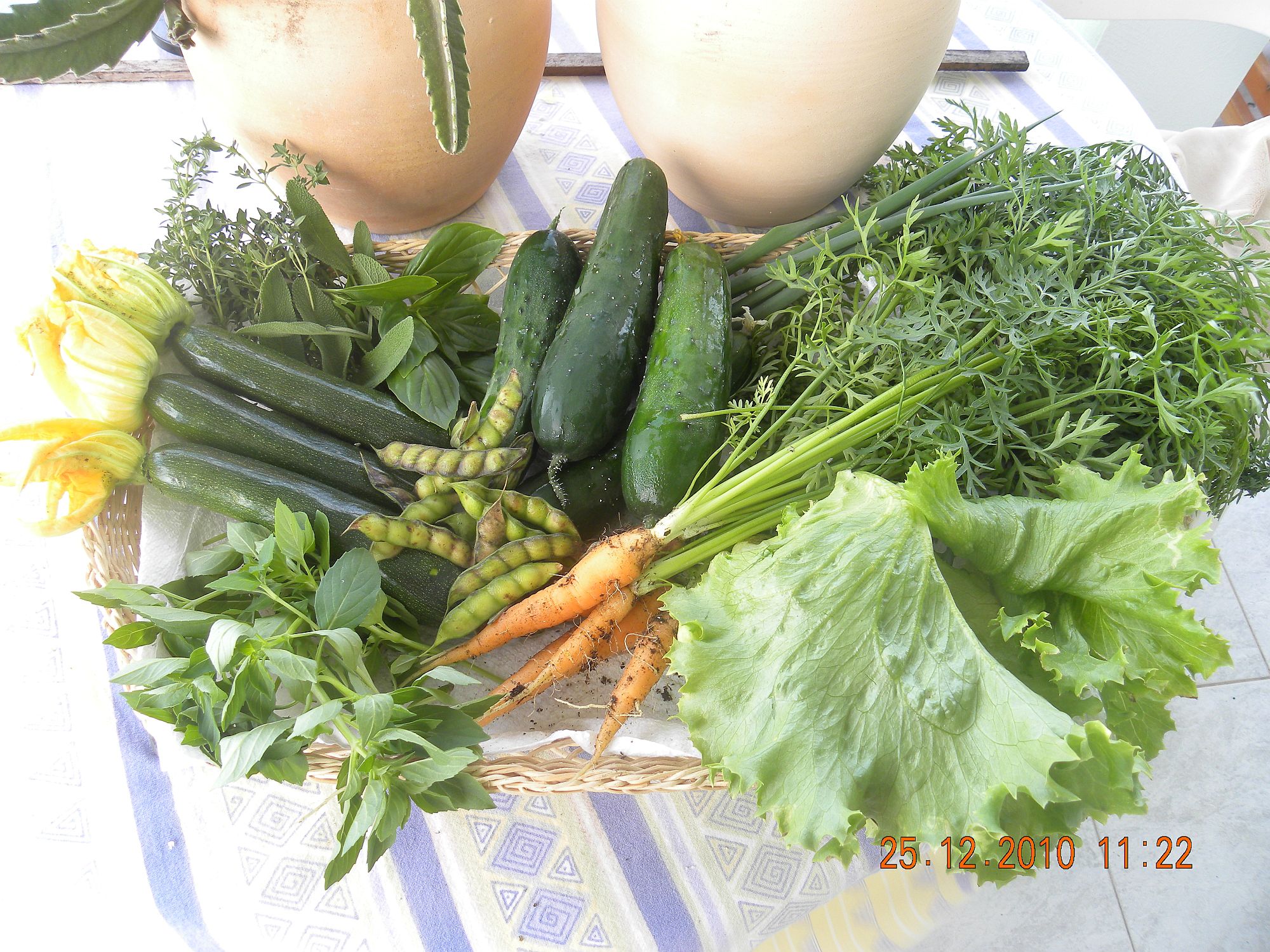 Fresh Christmas Vegiies from the Garden for Dinner - sm.jpg