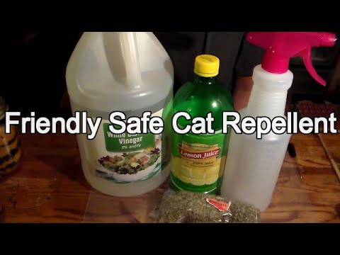 Friendly Way to Repel Cats