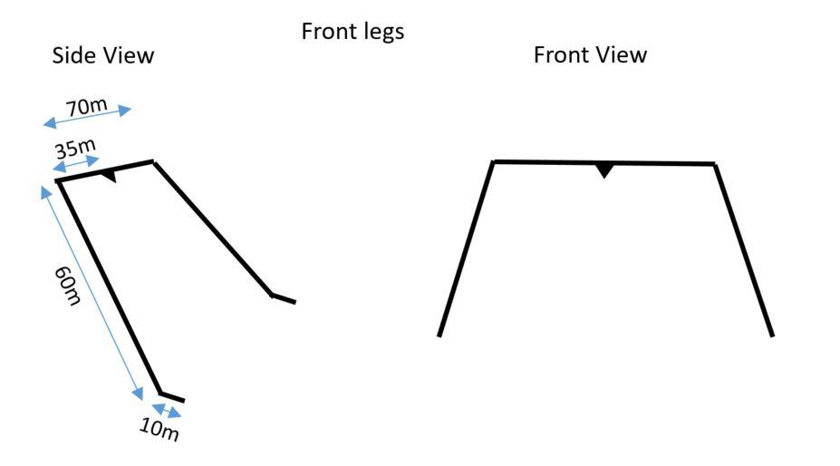 Front Legs.JPG