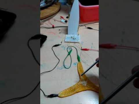 Fruit Peel RGB Driver Circuit