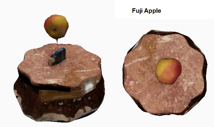 FujiApple.jpg