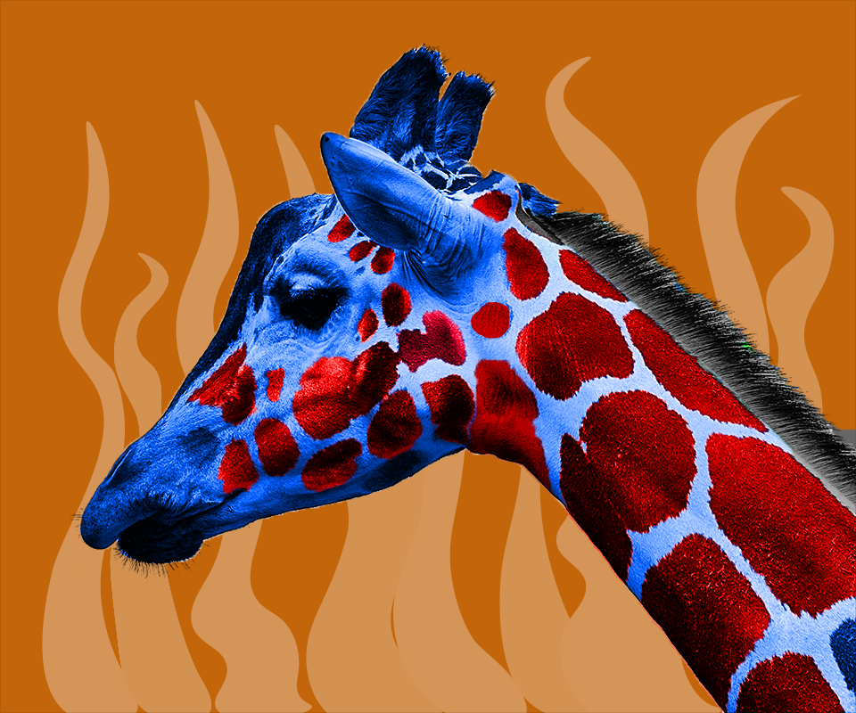 GIRRAFFE - Copy.png