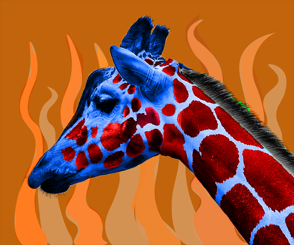 GIRRAFFE.png