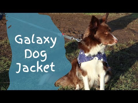 Galaxy Dog Jacket