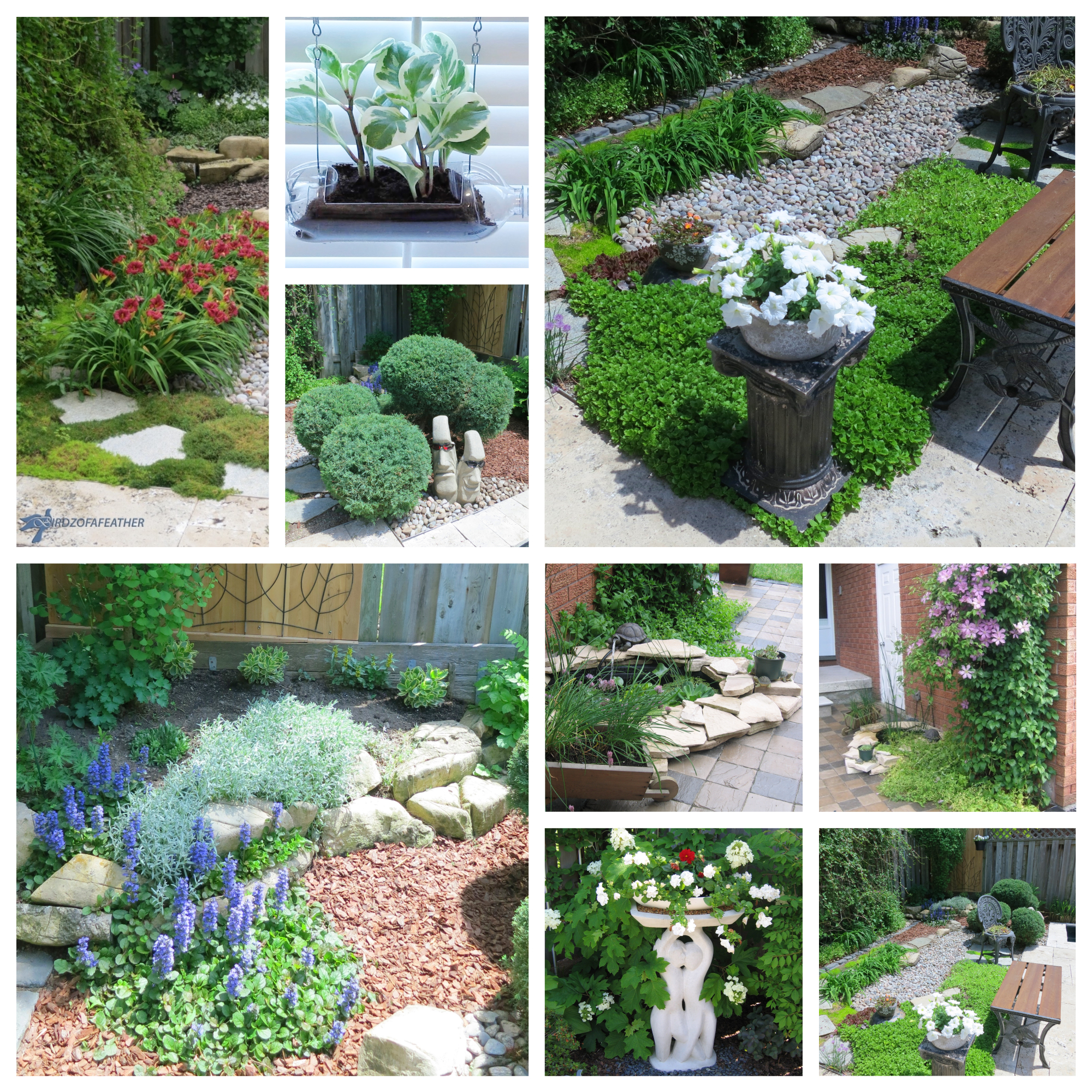 Garden Collage.jpg