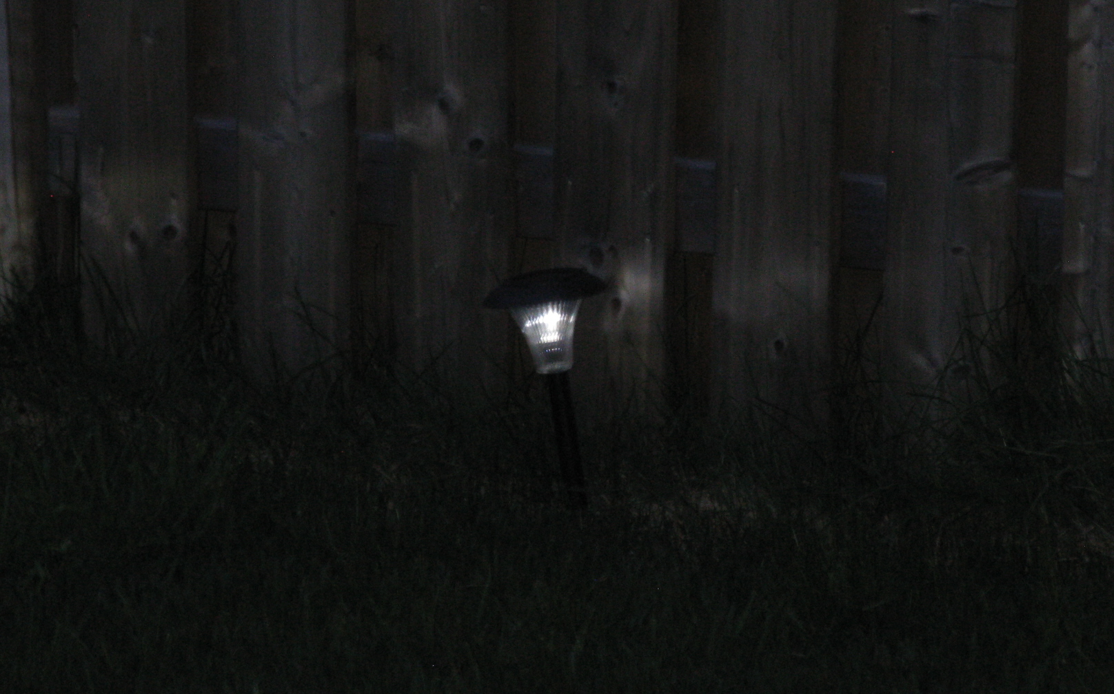 Garden Lights 12.JPG