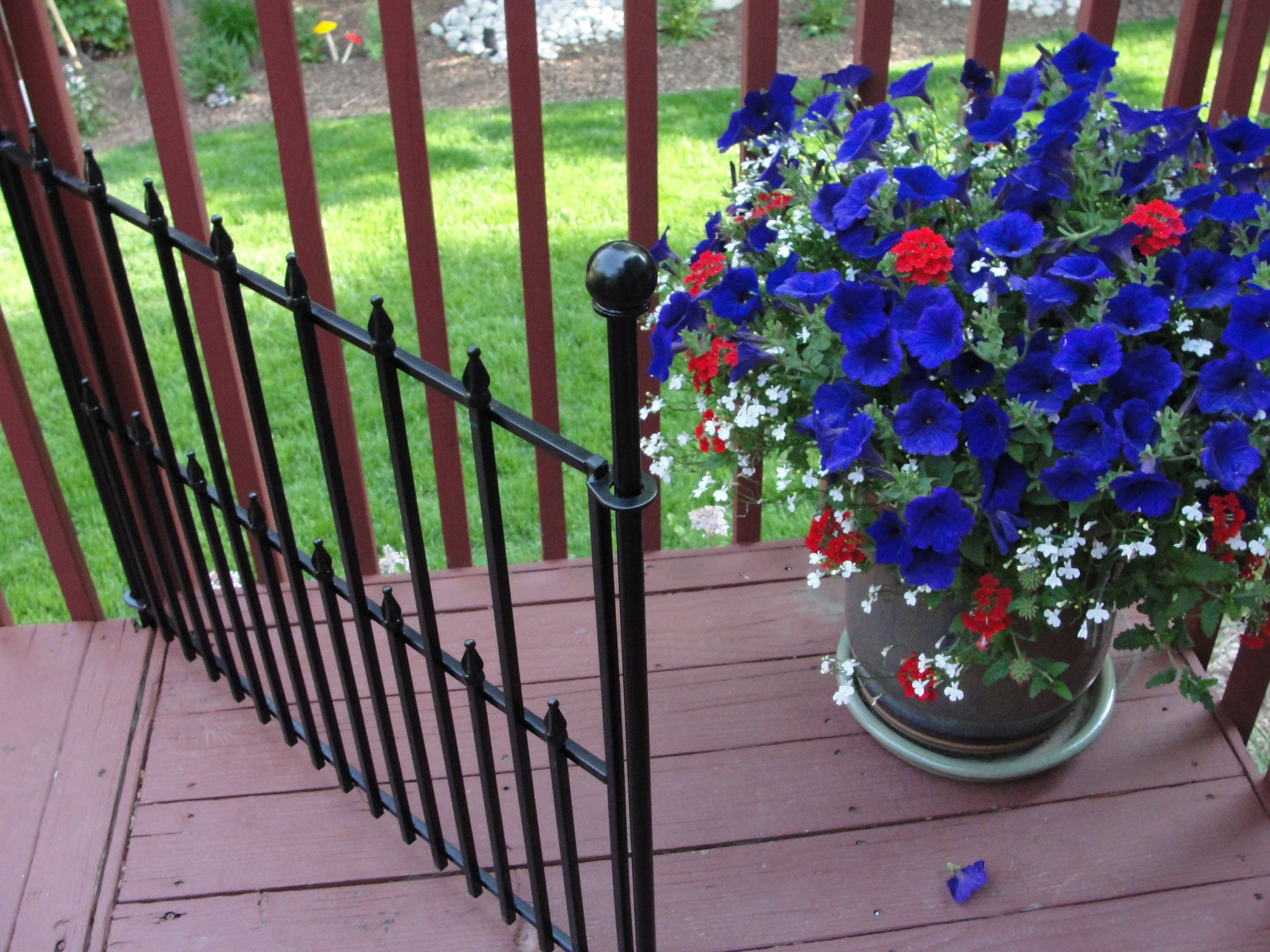 Gate with flowers from deck view.jpg