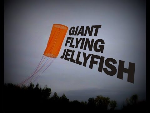 Giant Flying Jellyfish