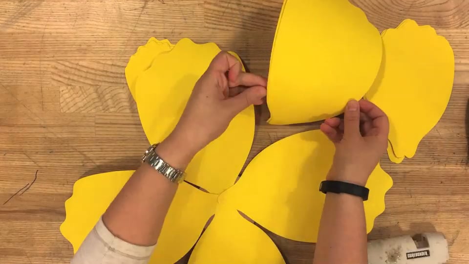 Giant Paper Flowers