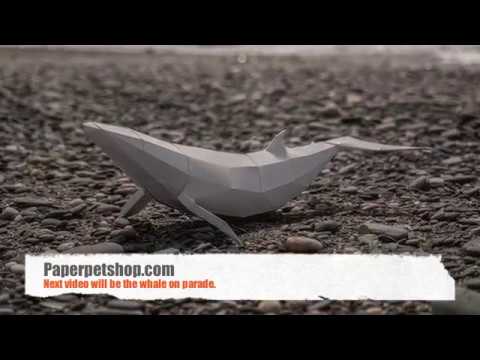 Giant paper craft Whale timelapse by paperpetshop