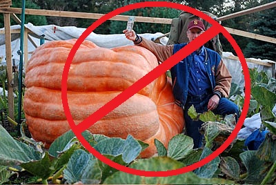 GiantPumpkin.jpg