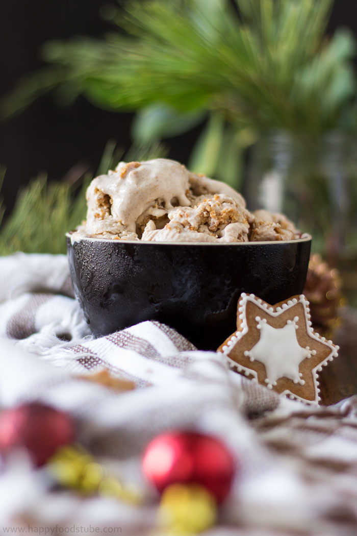 Gingerbread-Ice-Cream-4.jpg