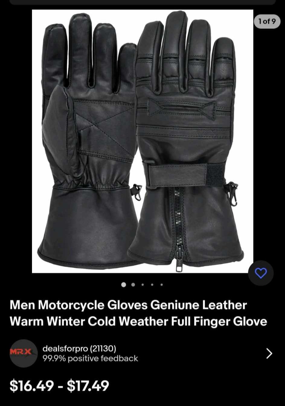Gloves.jpeg