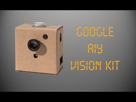 Google AIY Vision Kit