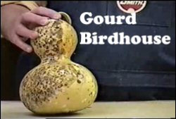 GourdVideoThmb.jpg