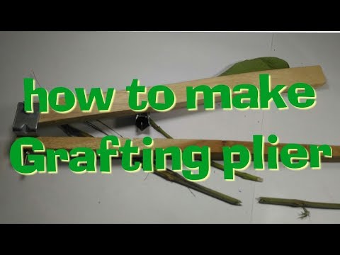 Grafting plier