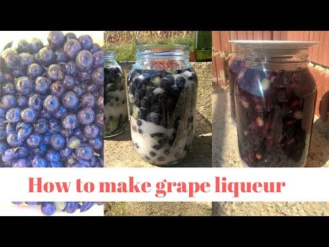 Grape liqueur - How to make grape liqueur