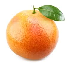 Grapefruit.png