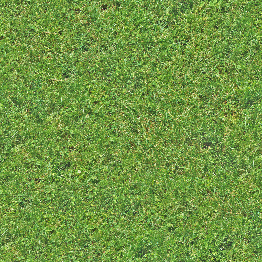 Grass.png