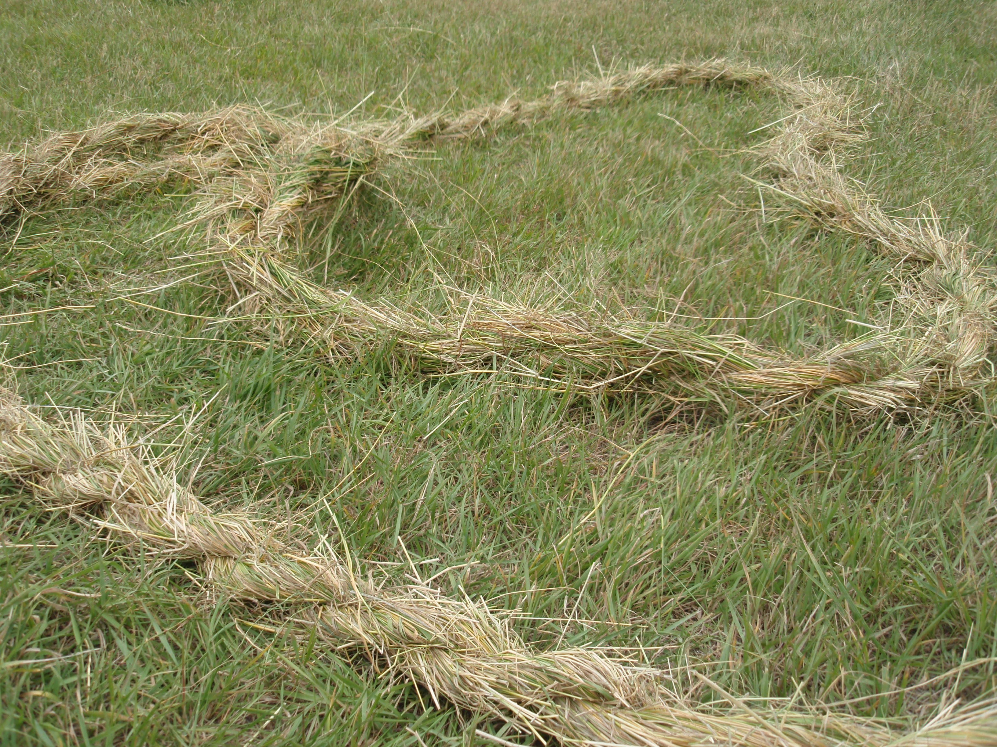 Grass_Rope.2.jpg