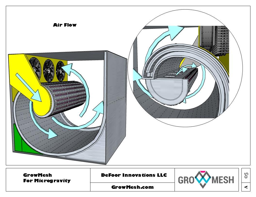 GrowmeshMicrogravityA_5.jpg