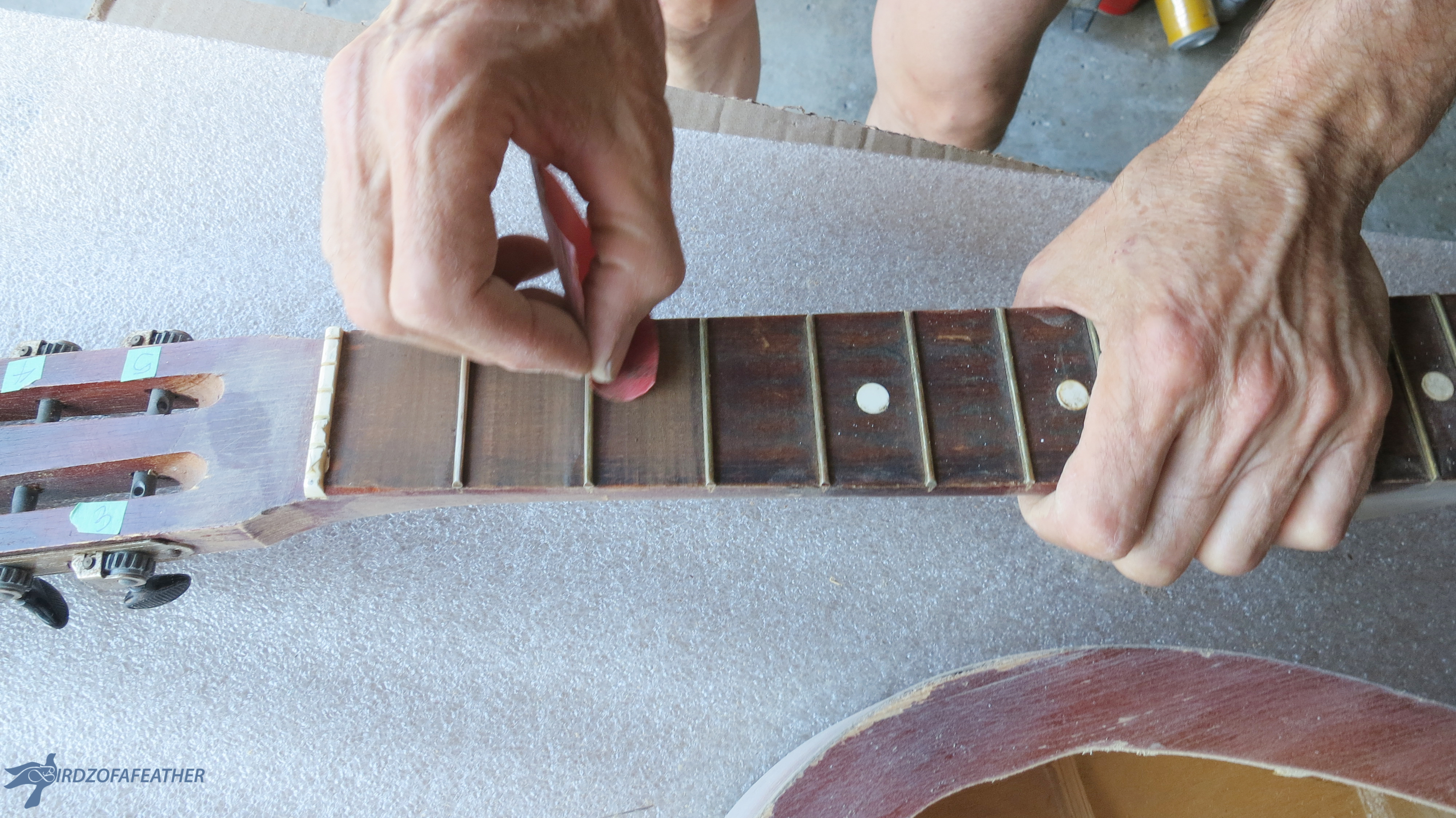 Guitar Planter 187_BOF.jpg