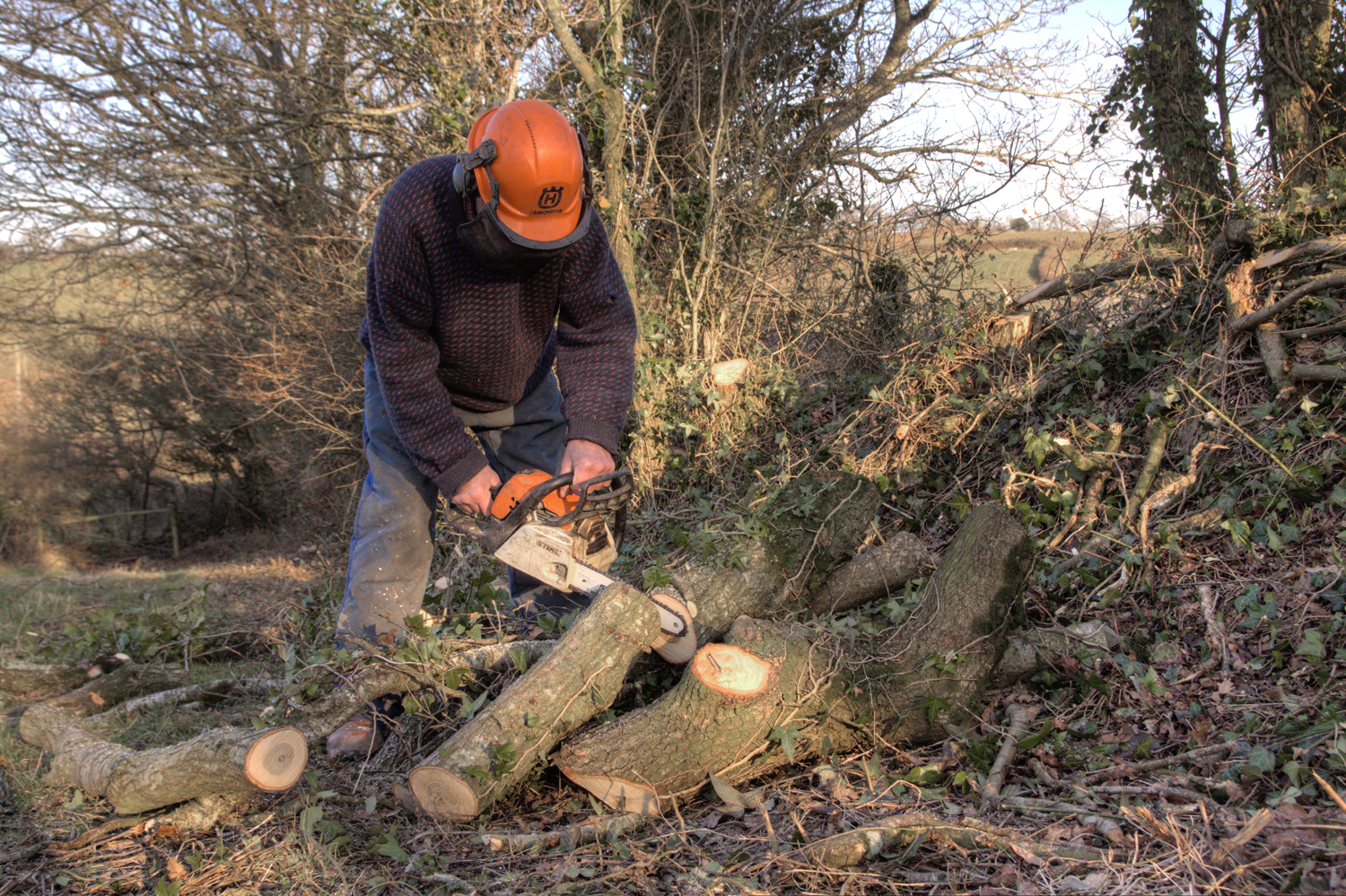 HB making cordwood 01.jpg