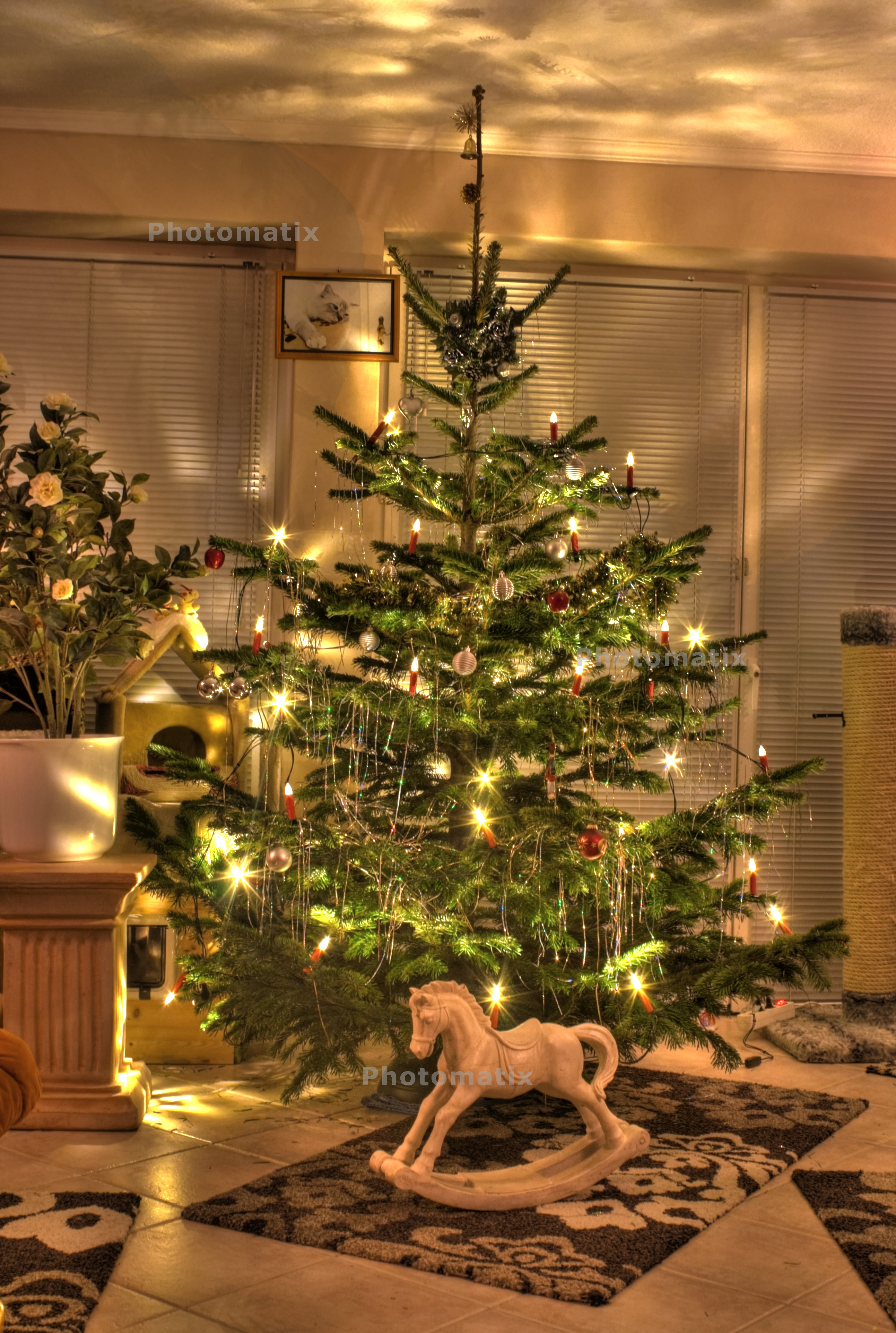 HDR-Christmas-Tree.jpg