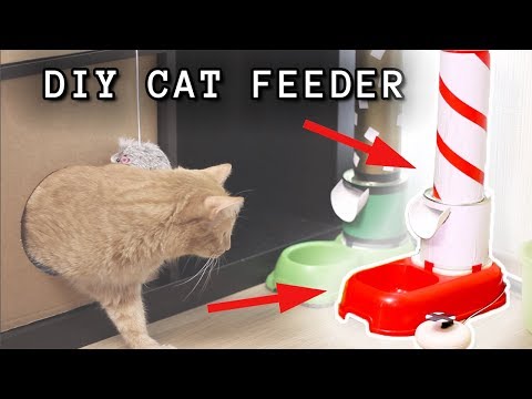 HOW TO BUILD A SMART ARDUINO CAT FEEDER