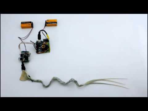 HairIO: Circuit Demonstration