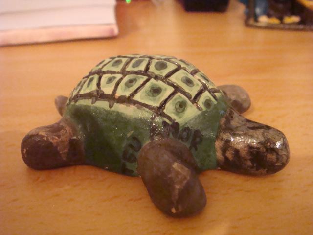 Hand Made Turtle.JPG