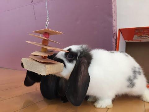 Handmade Bird Toy from wood scraps