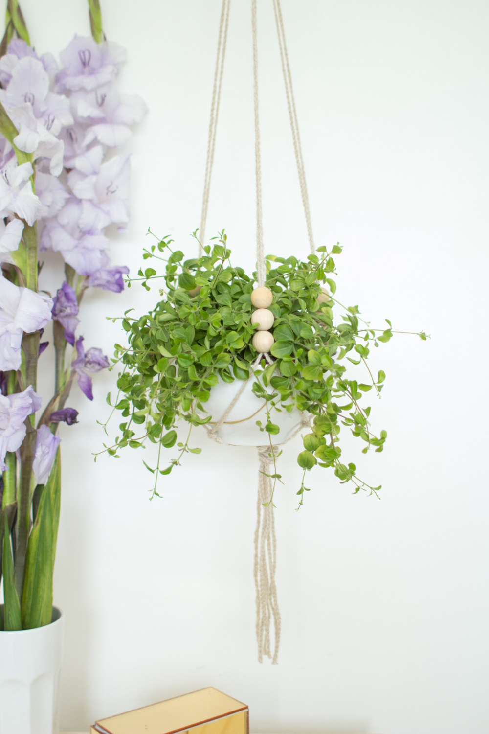 Hanging-ceramic-planter-37.jpg