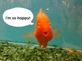 Happy_Fish.32861937_std.jpg