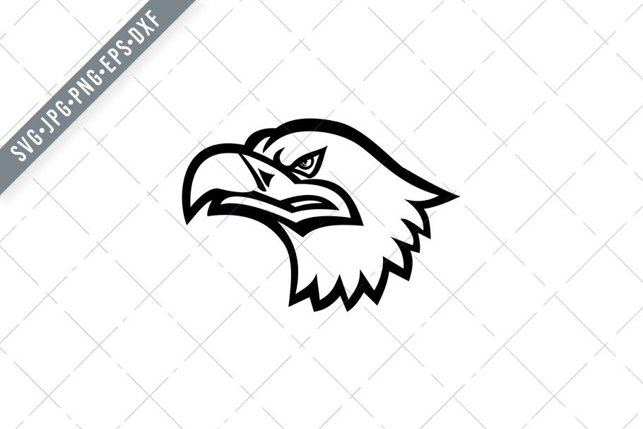 Head-of-a-Eurasian-Sea-Eagle-SVG-DXF-Graphics-5932563-1.jpg