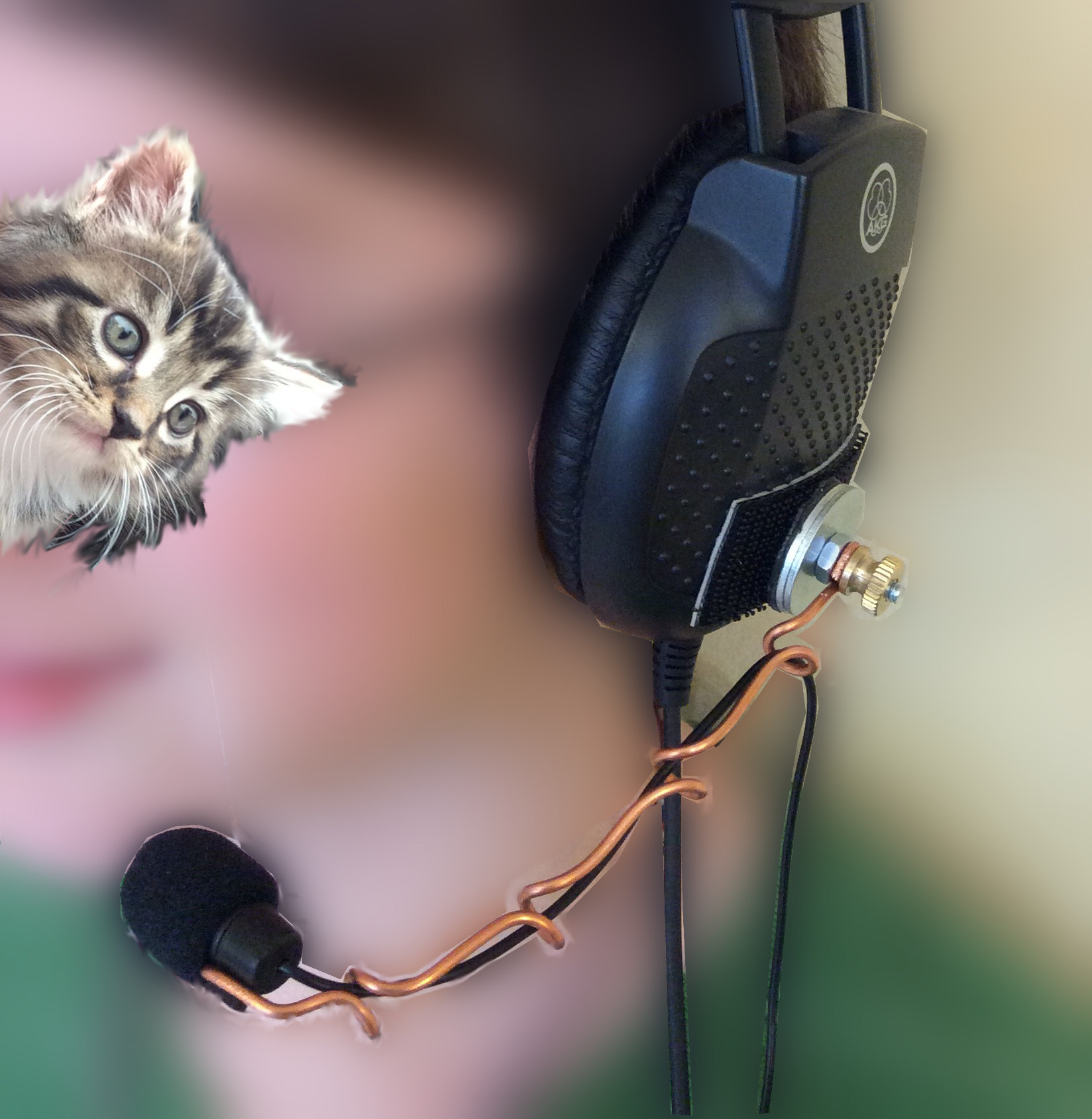 Headshot-headset-blurred-kitten.jpg