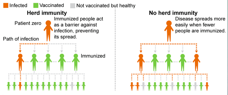 Herd_Immunity_vs_Without_Herd_Immunity_.png