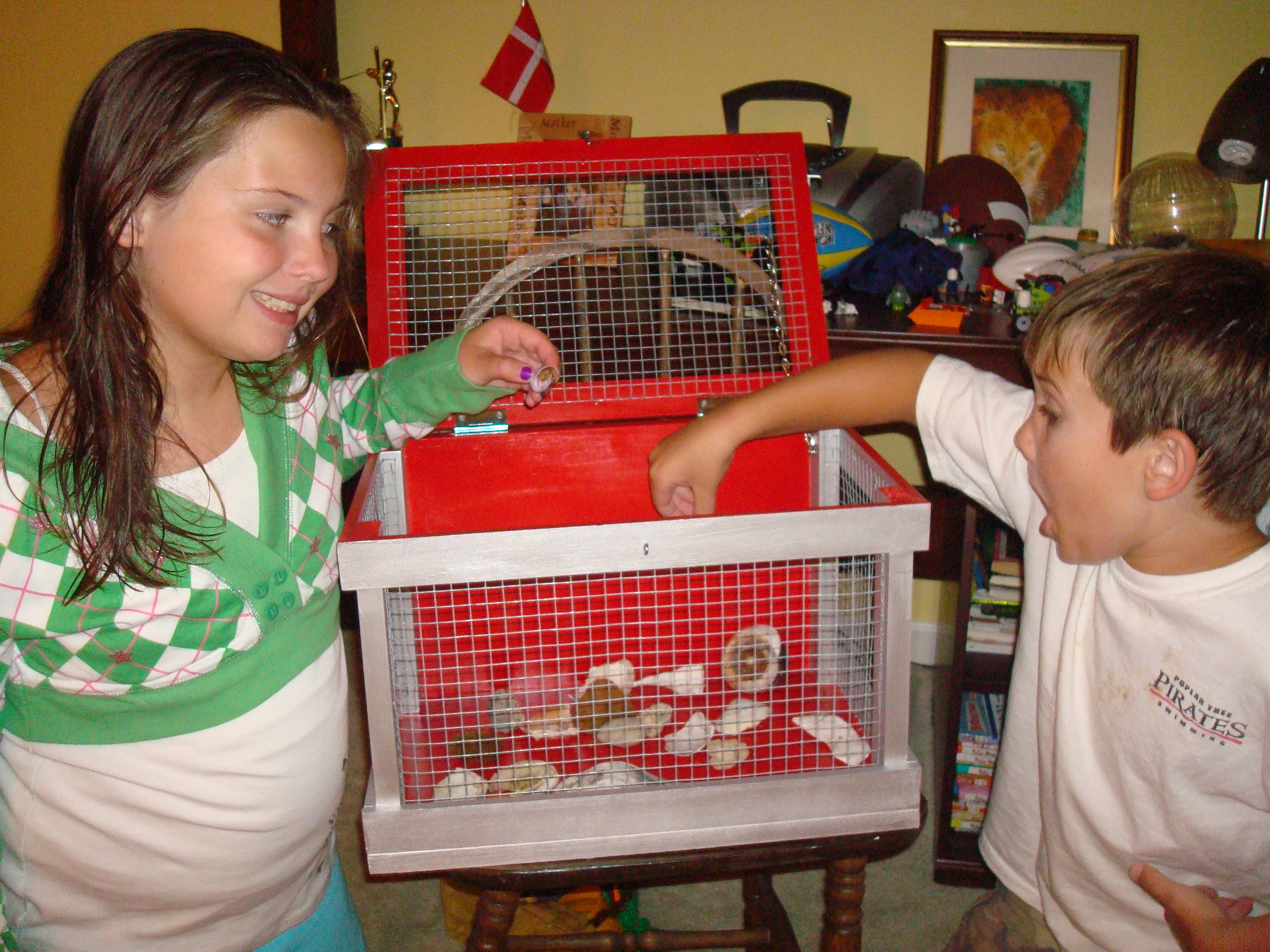 Hermit Crab Cage 007.jpg