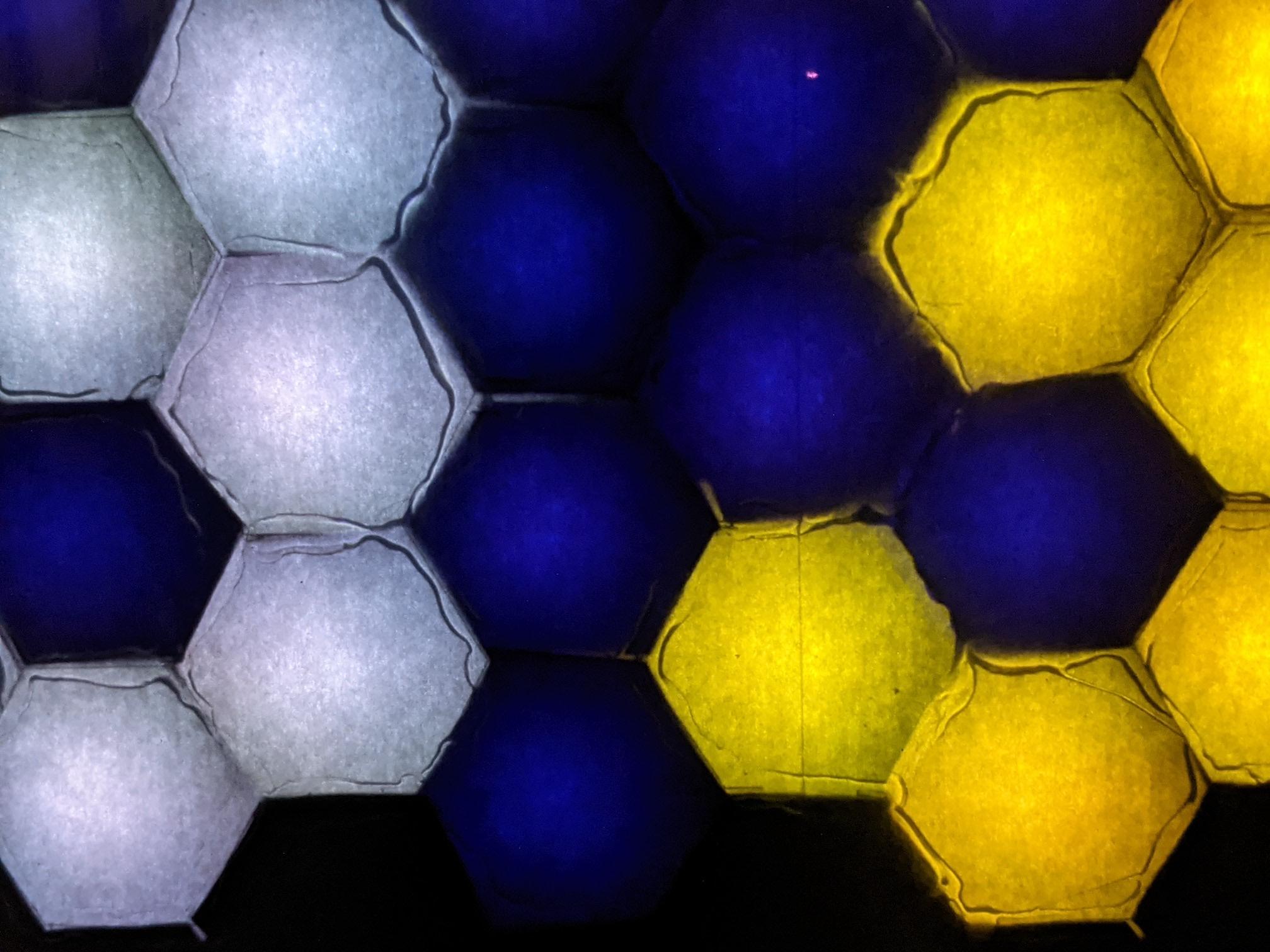 HexelCloseUp.jpg