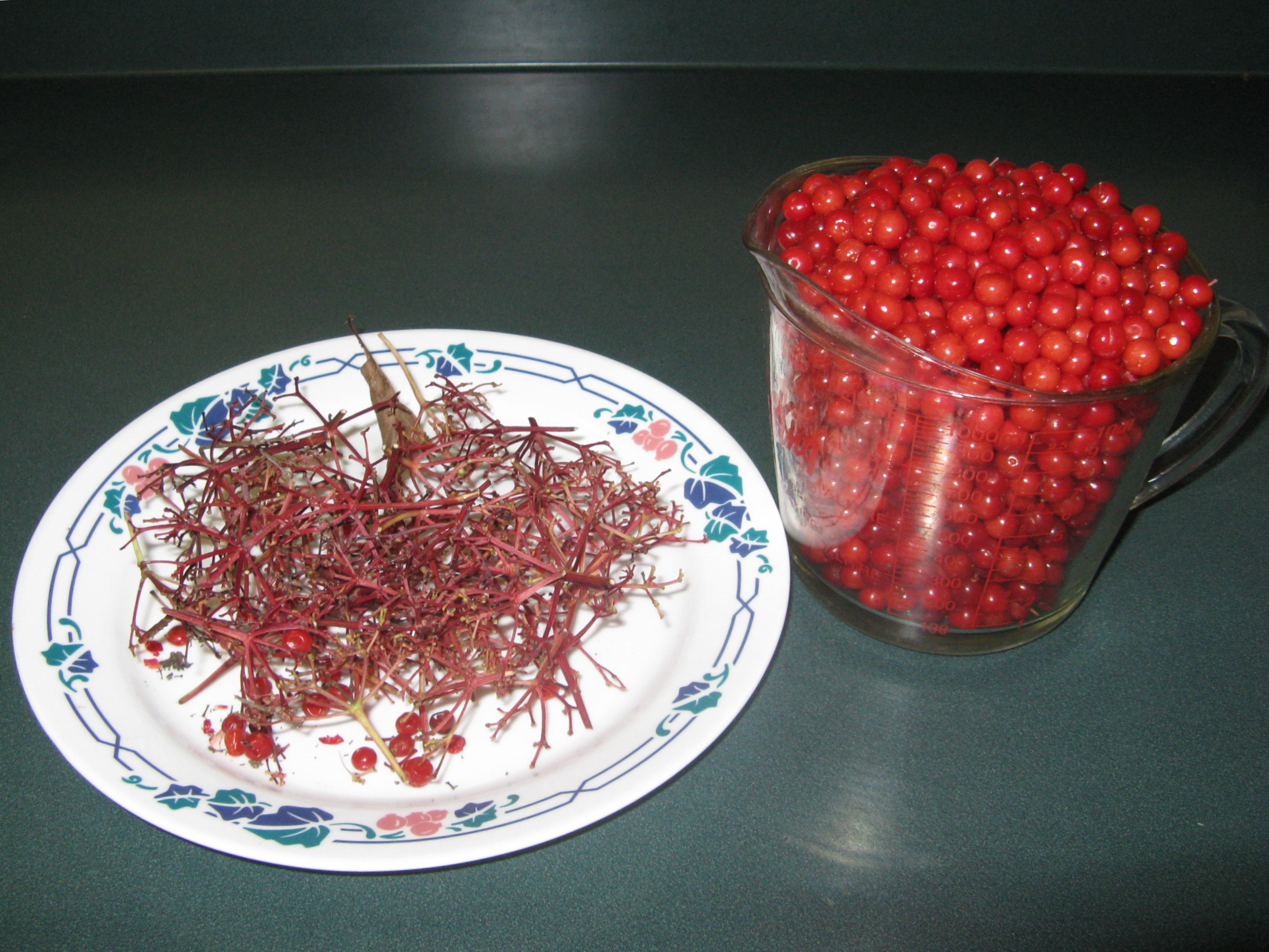 Highbush Cranberry Jelly 8.JPG