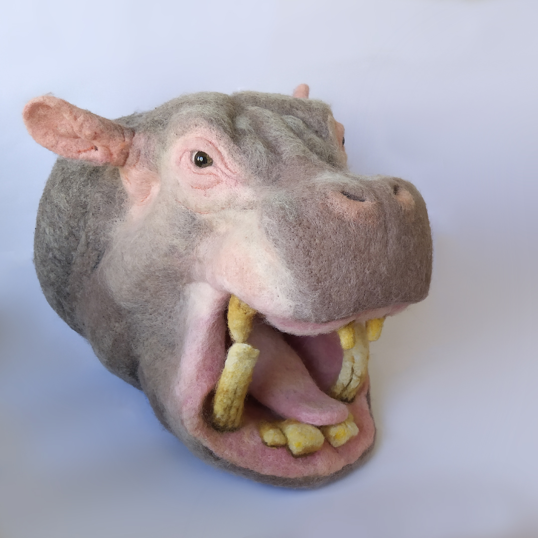 Hippo2.jpg